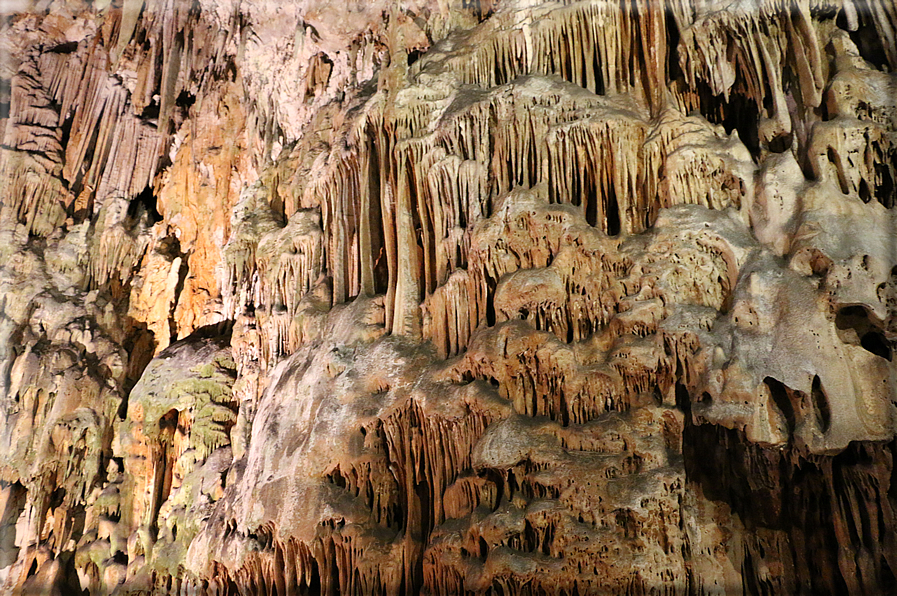 foto Grotta Gigante